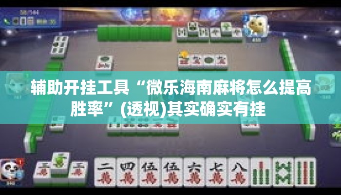 辅助开挂工具“微乐海南麻将怎么提高胜率”(透视)其实确实有挂 