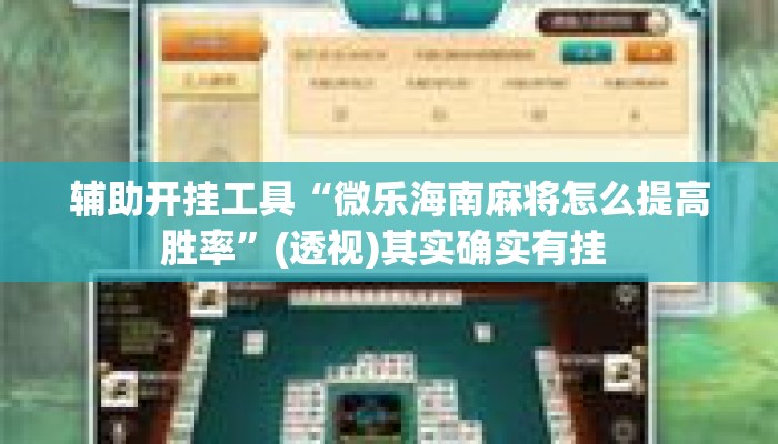 辅助开挂工具“微乐海南麻将怎么提高胜率	”(透视)其实确实有挂 