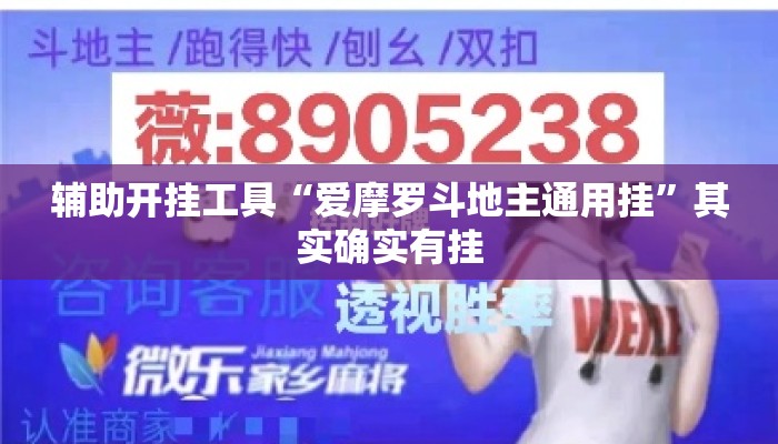 辅助开挂工具“爱摩罗斗地主通用挂”其实确实有挂