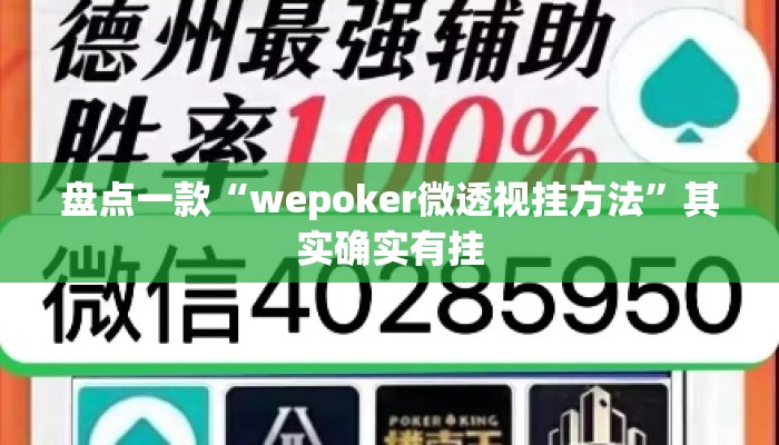 盘点一款“wepoker微透视挂方法	”其实确实有挂