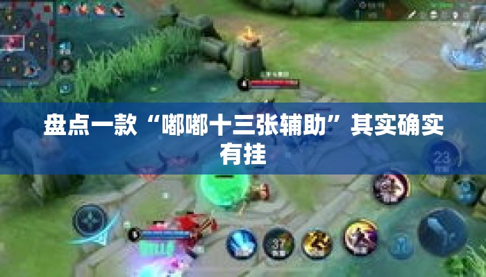 盘点一款“嘟嘟十三张辅助”其实确实有挂