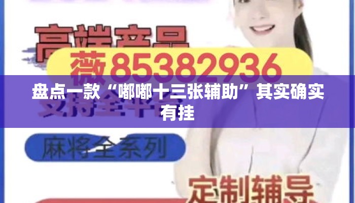 盘点一款“嘟嘟十三张辅助”其实确实有挂