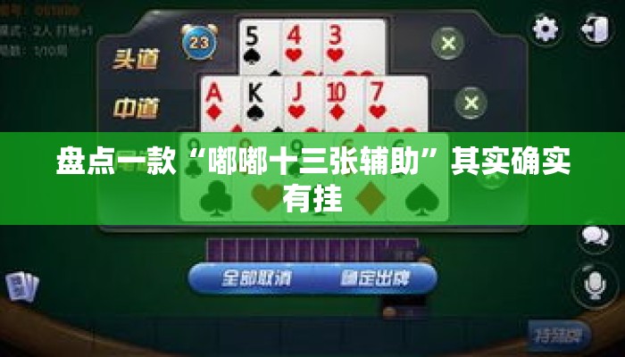 盘点一款“嘟嘟十三张辅助”其实确实有挂