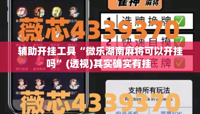 辅助开挂工具“微乐湖南麻将可以开挂吗”(透视)其实确实有挂 