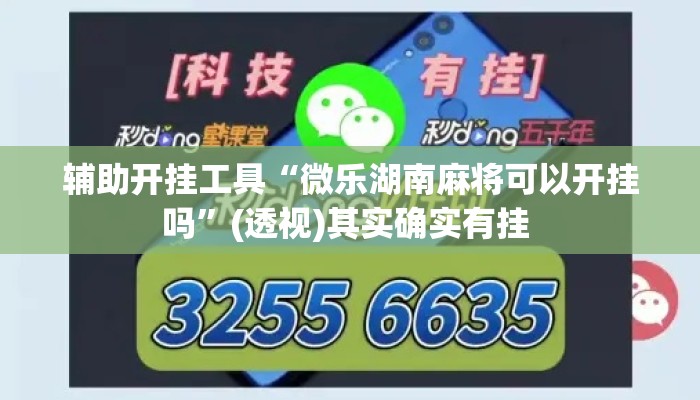 辅助开挂工具“微乐湖南麻将可以开挂吗”(透视)其实确实有挂 