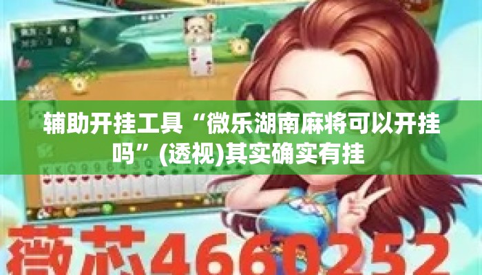 辅助开挂工具“微乐湖南麻将可以开挂吗	”(透视)其实确实有挂 