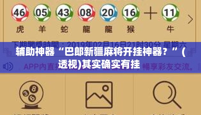 辅助神器“巴郎新疆麻将开挂神器？	”(透视)其实确实有挂 