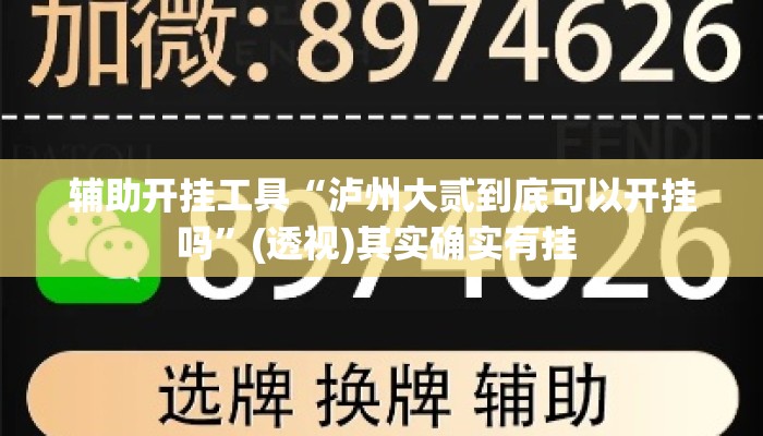 辅助开挂工具“泸州大贰到底可以开挂吗”(透视)其实确实有挂 