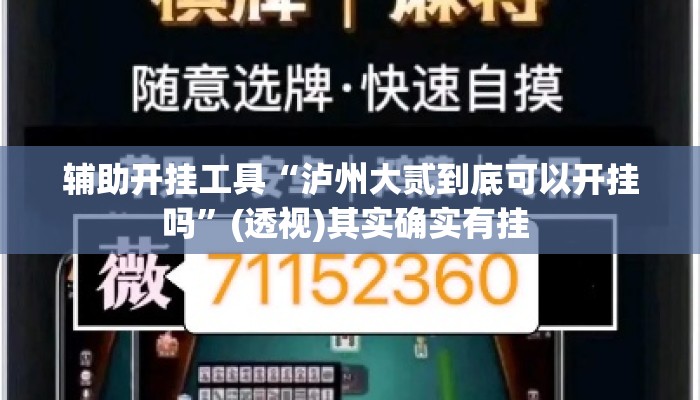辅助开挂工具“泸州大贰到底可以开挂吗”(透视)其实确实有挂 