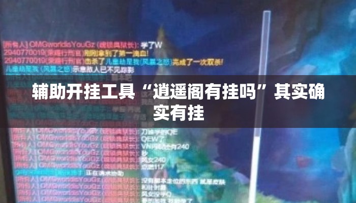 辅助开挂工具“逍遥阁有挂吗”其实确实有挂
