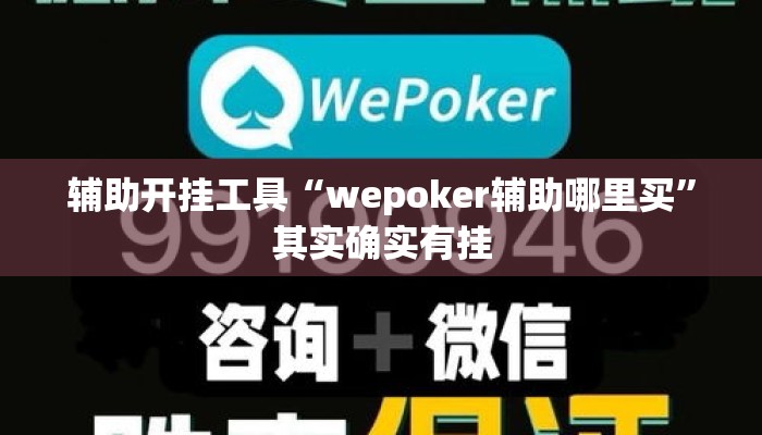 辅助开挂工具“wepoker辅助哪里买”其实确实有挂