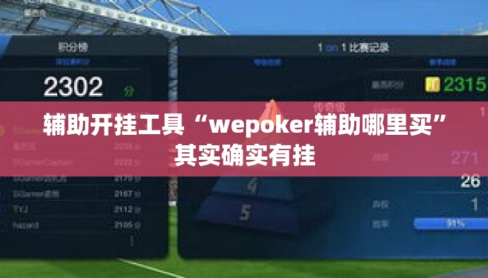 辅助开挂工具“wepoker辅助哪里买	”其实确实有挂