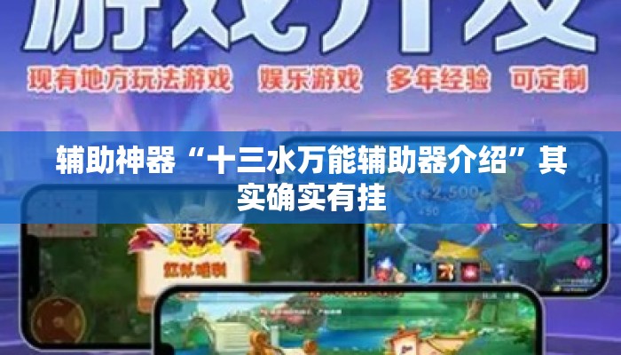 辅助神器“十三水万能辅助器介绍	”其实确实有挂