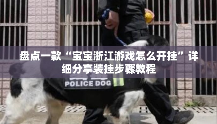 盘点一款“宝宝浙江游戏怎么开挂”详细分享装挂步骤教程