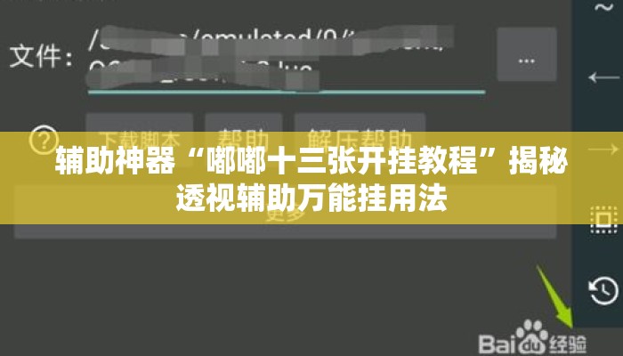 辅助神器“嘟嘟十三张开挂教程”揭秘透视辅助万能挂用法
