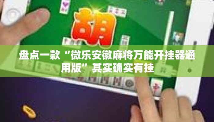 盘点一款“微乐安徽麻将万能开挂器通用版”其实确实有挂