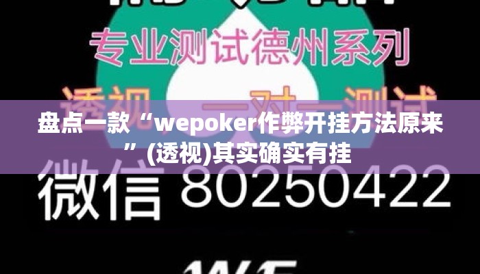 盘点一款“wepoker作弊开挂方法原来”(透视)其实确实有挂 