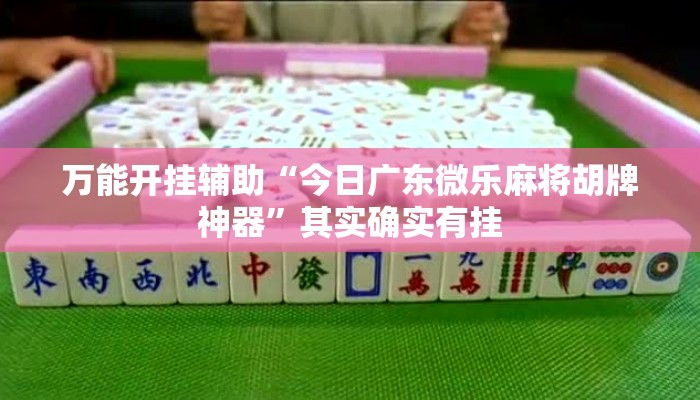 万能开挂辅助“今日广东微乐麻将胡牌神器”其实确实有挂