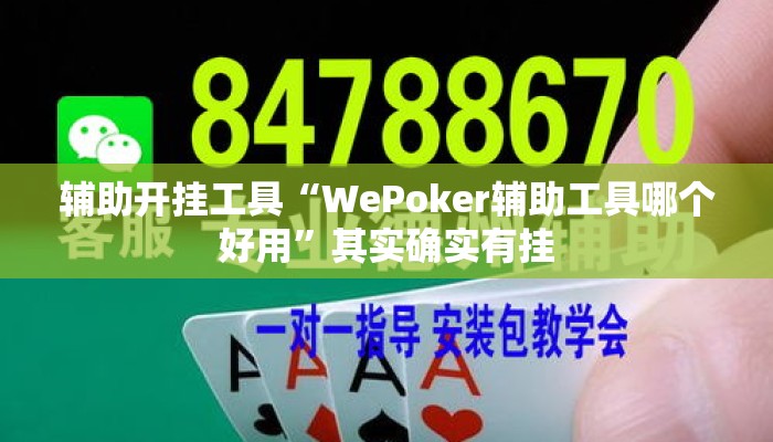 辅助开挂工具“WePoker辅助工具哪个好用	”其实确实有挂