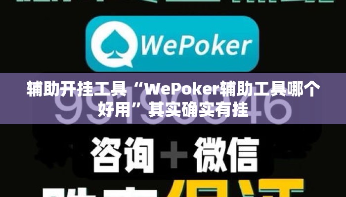 辅助开挂工具“WePoker辅助工具哪个好用”其实确实有挂