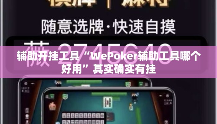 辅助开挂工具“WePoker辅助工具哪个好用”其实确实有挂