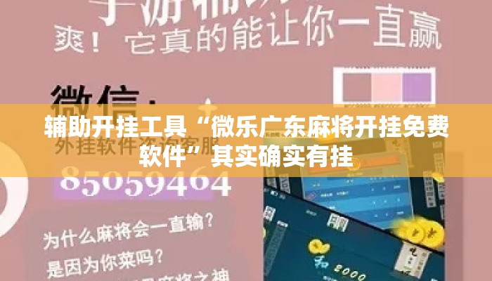辅助开挂工具“微乐广东麻将开挂免费软件”其实确实有挂