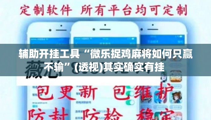 辅助开挂工具“微乐捉鸡麻将如何只赢不输”(透视)其实确实有挂 