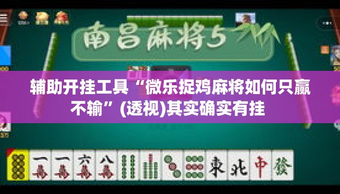 辅助开挂工具“微乐捉鸡麻将如何只赢不输”(透视)其实确实有挂 