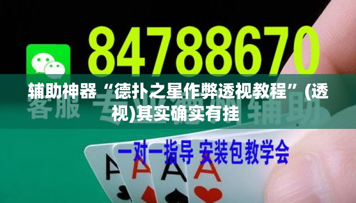 辅助神器“德扑之星作弊透视教程”(透视)其实确实有挂 
