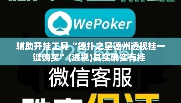 辅助开挂工具“德扑之星德州透视挂一键购买”(透视)其实确实有挂 