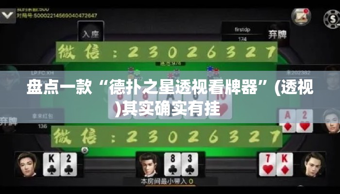 盘点一款“德扑之星透视看牌器	”(透视)其实确实有挂 