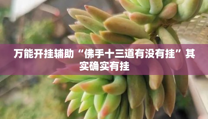 万能开挂辅助“佛手十三道有没有挂”其实确实有挂