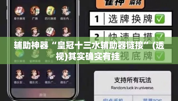 辅助神器“皇冠十三水辅助器链接	”(透视)其实确实有挂 