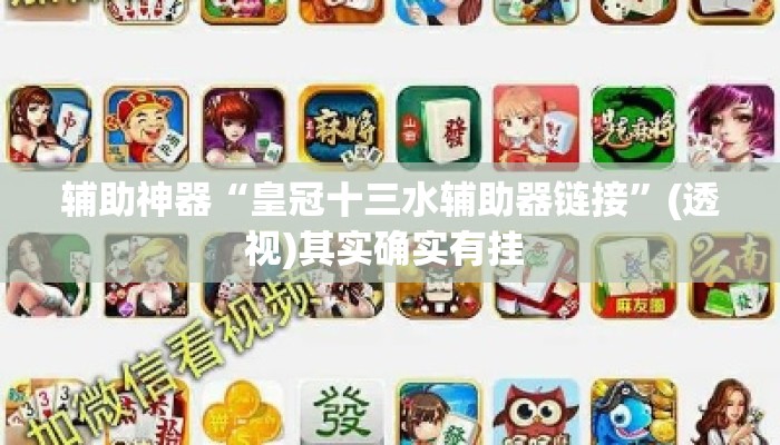 辅助神器“皇冠十三水辅助器链接”(透视)其实确实有挂 