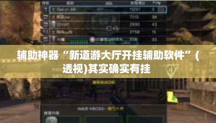 辅助神器“新道游大厅开挂辅助软件”(透视)其实确实有挂 