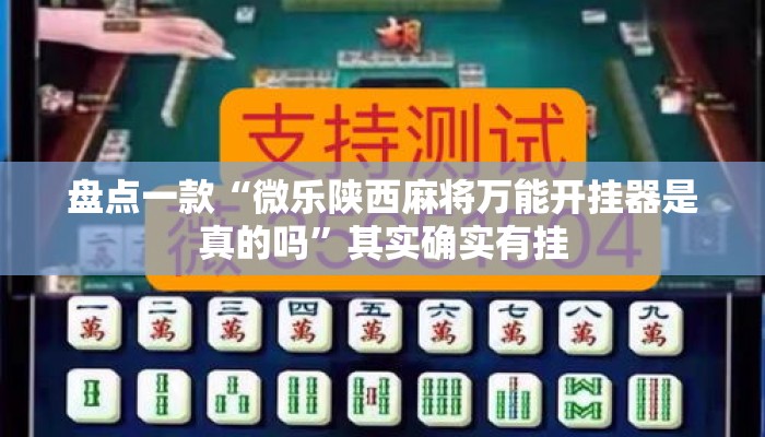 盘点一款“微乐陕西麻将万能开挂器是真的吗”其实确实有挂