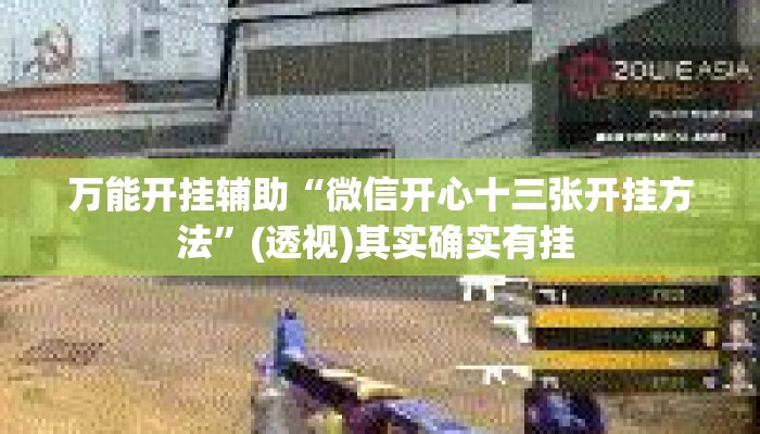 万能开挂辅助“微信开心十三张开挂方法	”(透视)其实确实有挂 