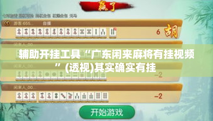 辅助开挂工具“广东闲来麻将有挂视频”(透视)其实确实有挂 