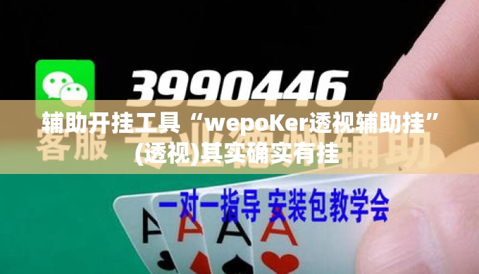 辅助开挂工具“wepoKer透视辅助挂	”(透视)其实确实有挂 