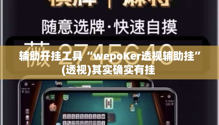 辅助开挂工具“wepoKer透视辅助挂”(透视)其实确实有挂 