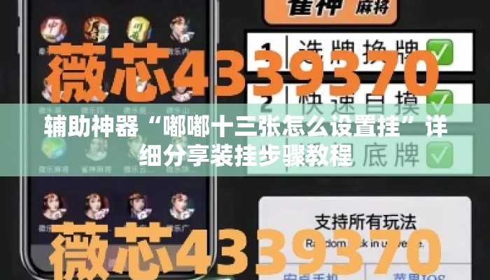 辅助神器“嘟嘟十三张怎么设置挂	”详细分享装挂步骤教程
