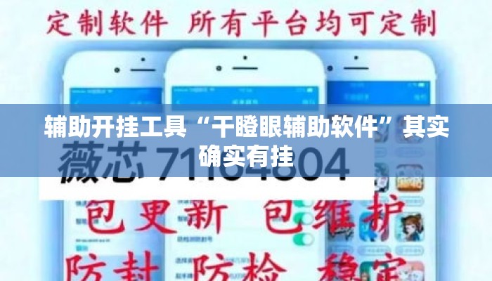辅助开挂工具“干瞪眼辅助软件”其实确实有挂