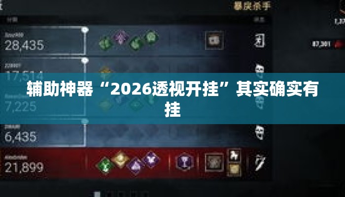 辅助神器“2026透视开挂”其实确实有挂