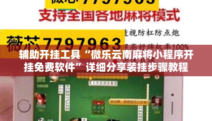 辅助开挂工具“微乐云南麻将小程序开挂免费软件	”详细分享装挂步骤教程
