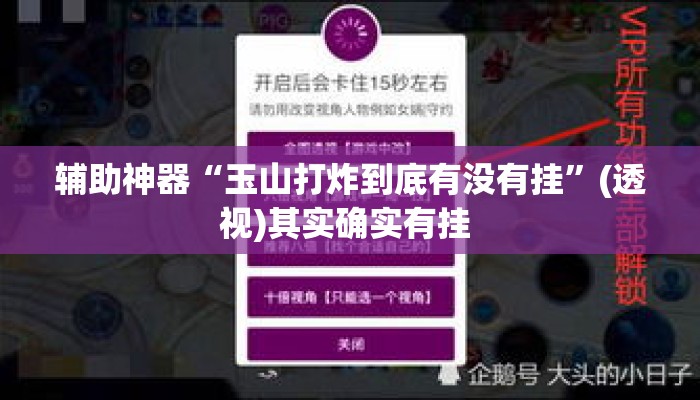 辅助神器“玉山打炸到底有没有挂”(透视)其实确实有挂 