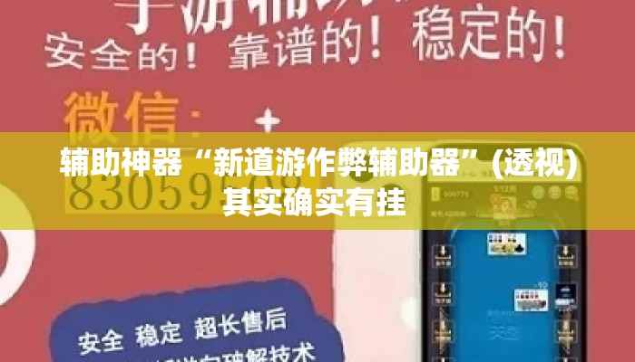 辅助神器“新道游作弊辅助器”(透视)其实确实有挂 