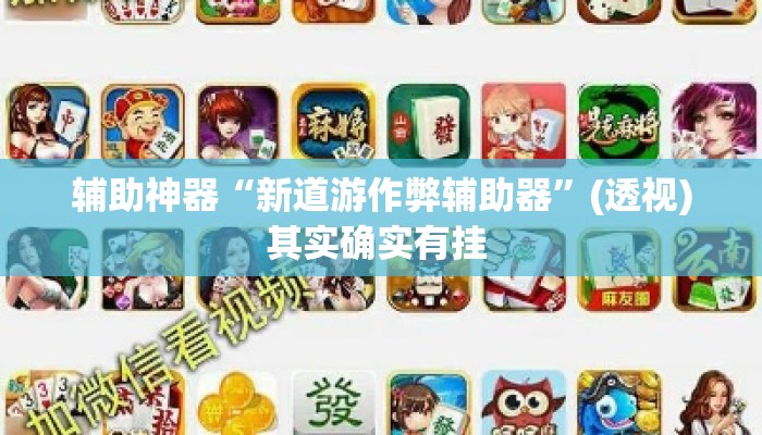 辅助神器“新道游作弊辅助器”(透视)其实确实有挂 
