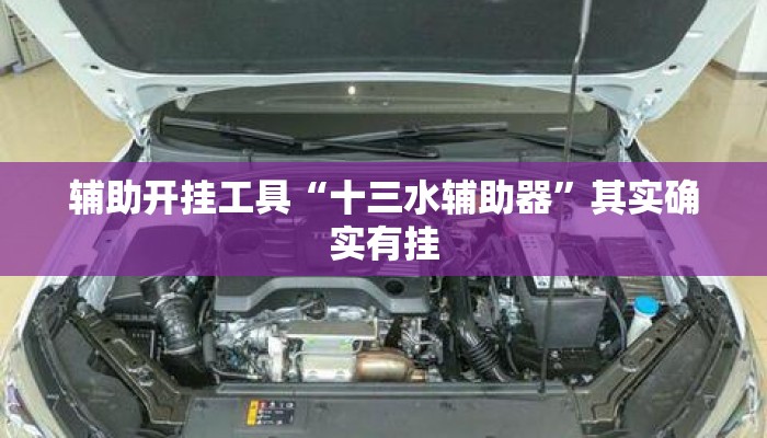 辅助开挂工具“十三水辅助器”其实确实有挂