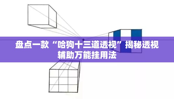 盘点一款“哈狗十三道透视”揭秘透视辅助万能挂用法