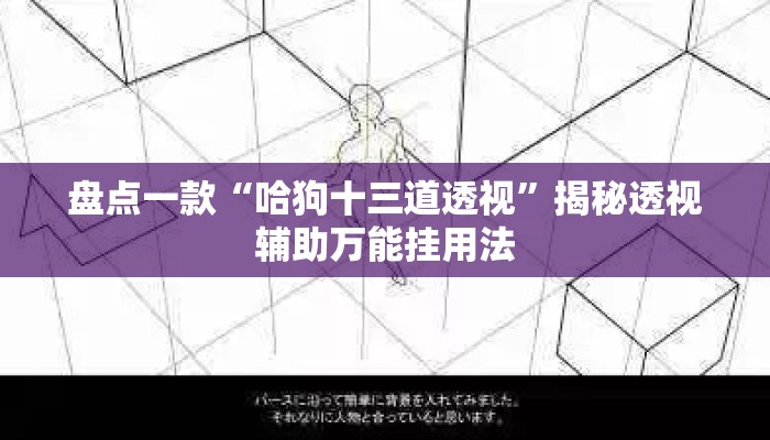 盘点一款“哈狗十三道透视”揭秘透视辅助万能挂用法